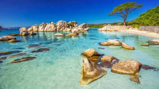 une Villa de Prestige à Porto-Vecchio Proche de la Plage de Palombaggia ? Votre Guide Ultime pour des Vacances Inoubliables en Corse, Porto-Vecchio, Villa Rocca Bianca